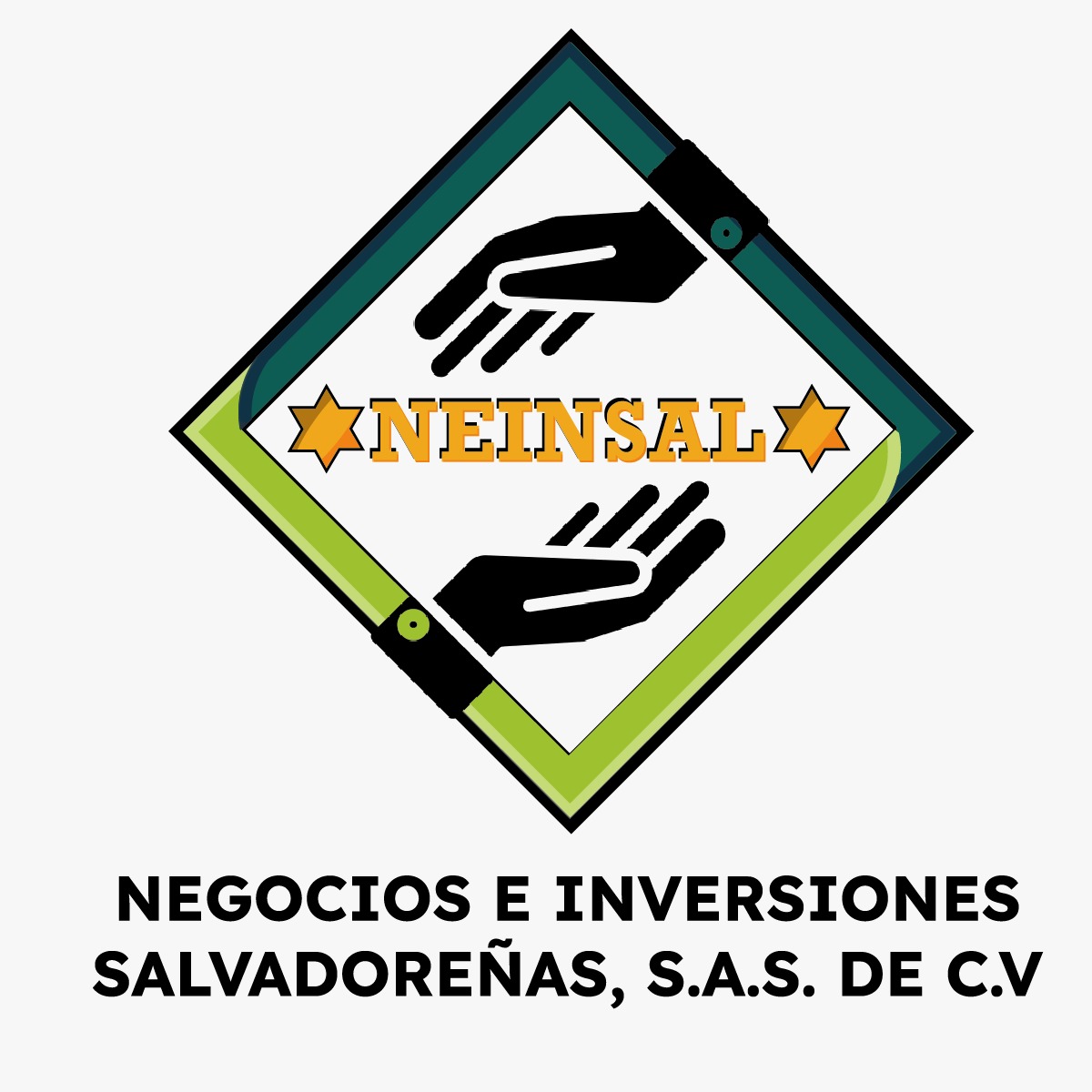 Logo NEINSAL